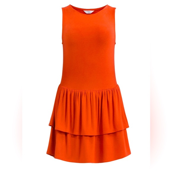 Time and Tru Dresses & Skirts - Time and Tru Women's Ruffle Knit Mini Dress NWT